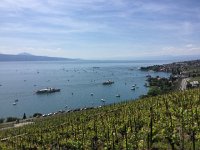 IMG 0994  passing in review