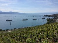 IMG 0998  second time