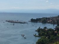 IMG 1009  many colors