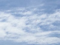 IMG 1013  off they go