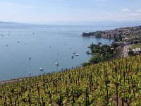 IMG 4830  crowded Cully