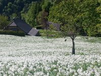 20170523 170605  great smell