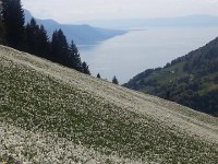 20170523 170615  with the lake in the background