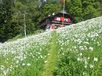 20170523 171001  stay on the path