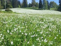 20170523 171012  a protected space