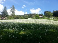 20170523 171628  I&#39;m glad it&#39;s here