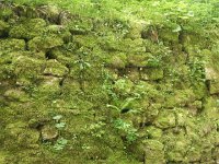 20170523 172958  shifting to green...