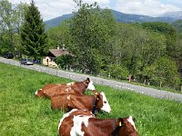 20170524 143415  three ladies
