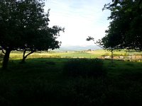 20170524 194922  definitely in the country