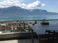 IMG 4837  birds like crumbs