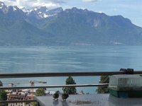 IMG 4839  sparrows parent and immature