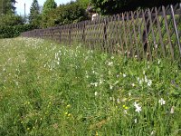 IMG 4844  a few in the burg