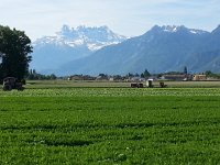 20170525 095445  Chablais pastorale