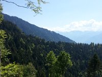 20170526 152654  forests of Caux