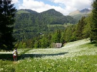 20170526 161909  Nermont again