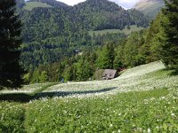 IMG 4893  Greg on the downward path