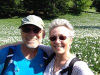 IMG 4896  amongst the blooms