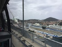 IMG 0895  these are monsters!