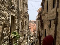 IMG 0907  reconnoitering the bus stop for the airport bus