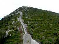 DSCN9417  vaguely Chinese