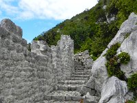 DSCN9421  wall and steps