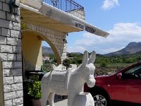 DSCN9434  donkeys are honored