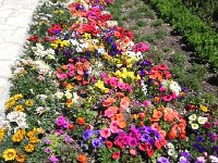 DSCN9441  color  at the entrance to second wine tasting Korta Katarina