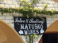 IMG 0765  First site for tasting