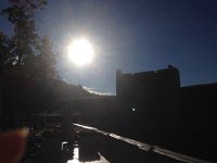 IMG 4765  a very sunny day!