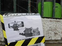 DSCN9309  are everywhere in the Med