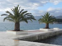 DSCN9409  kinda lonely