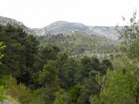 DSCN9575  signs of a burn