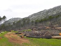 DSCN9581  loggers&#39; lunch spot