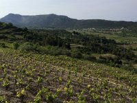 IMG 0854  Potomje, where we had our first wine tasting