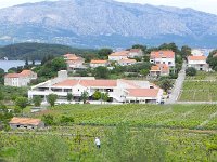 DSCN9479  and people