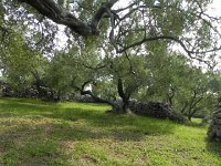 DSCN9493  with all the stones moved to walls