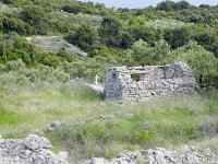 DSCN9495  the walls were big!