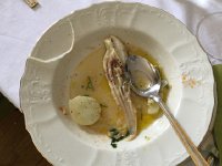 IMG 0807  a portion of a ray