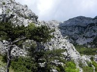 DSCN9510  good trail