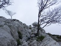 DSCN9529  rocky trail