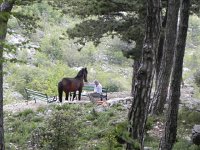 DSCN9538  pushing away