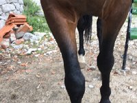 IMG 0842  coming in closer