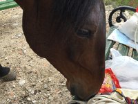 IMG 0845  what&#39;s for lunch?