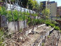 20170505 123740  garden