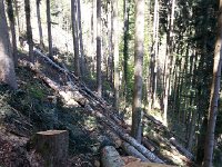 20170505 162508  hard to penetrate