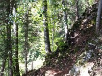 20170505 163006  clear trail beyond the cut