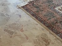 20170514 190044  checking on David&#39;s work