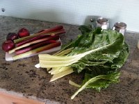 20170518 164928  18 May first harvest from garden