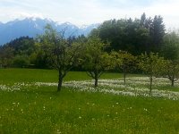 20170522 162308  22 May bike ride up Vallon de Villard