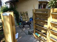 20170530 113819  30 May - big dog...